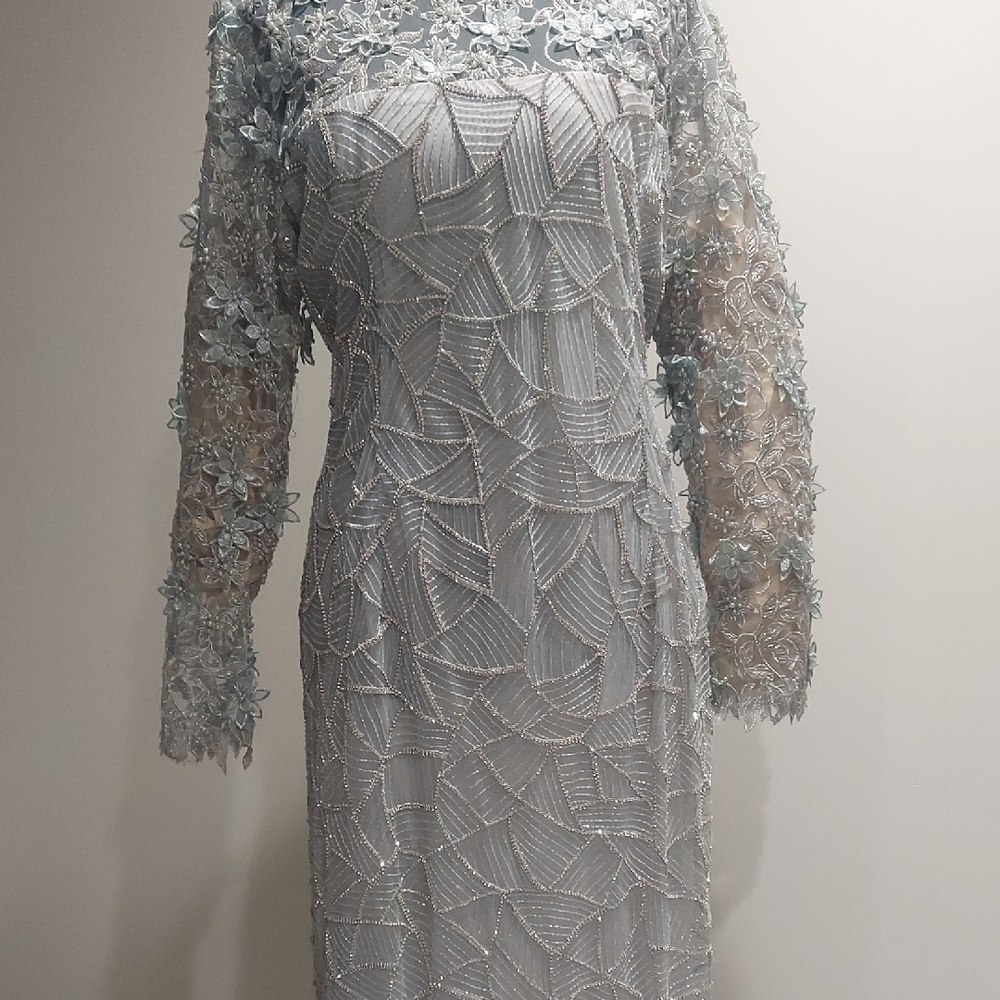 Elegant Lace Overlay Dress